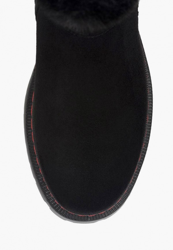 фото Полусапоги t.taccardi