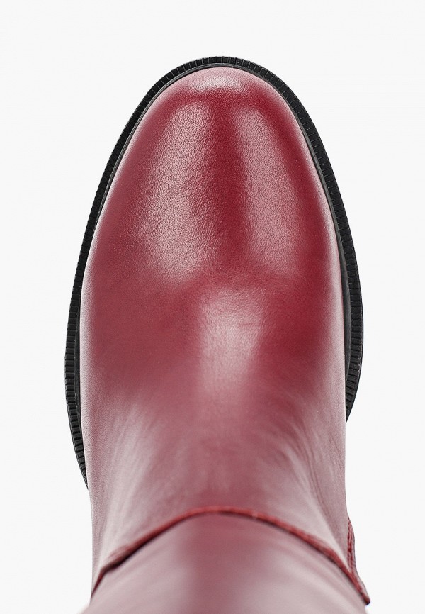 фото Сапоги ascalini