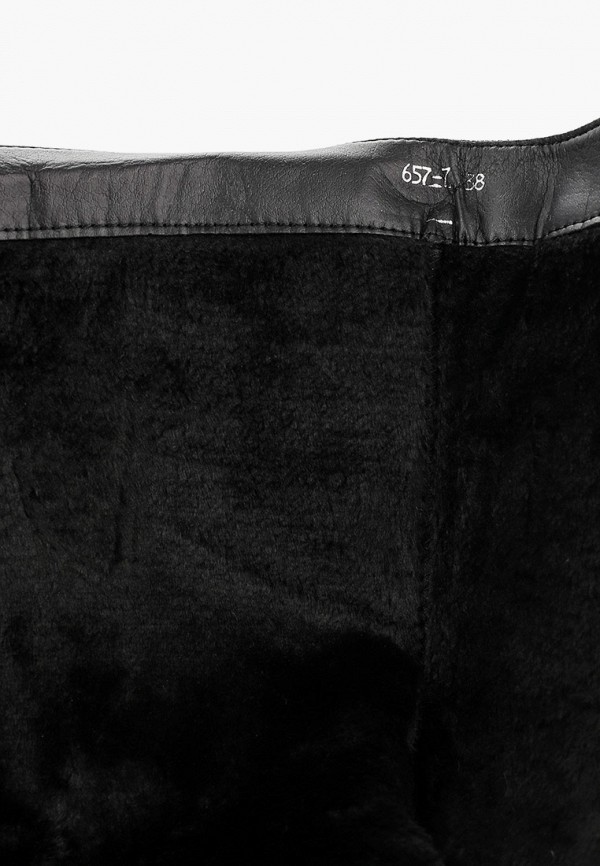 фото Сапоги dino albat