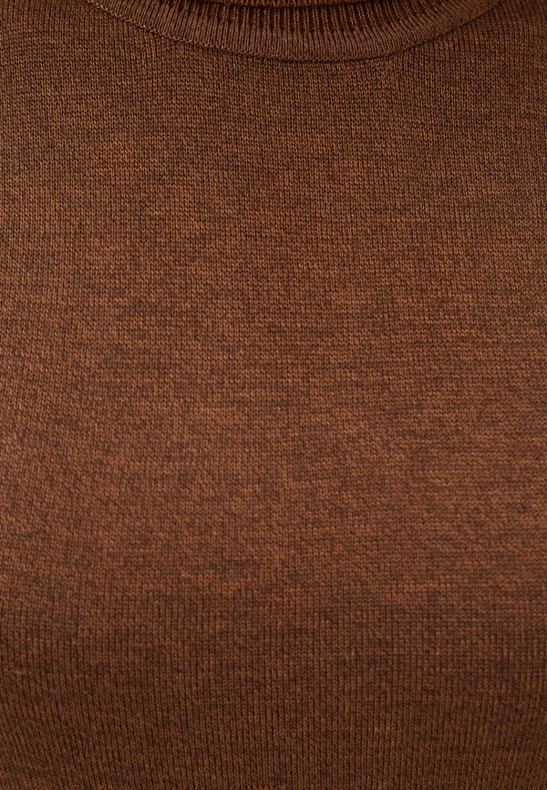 фото Водолазка savage