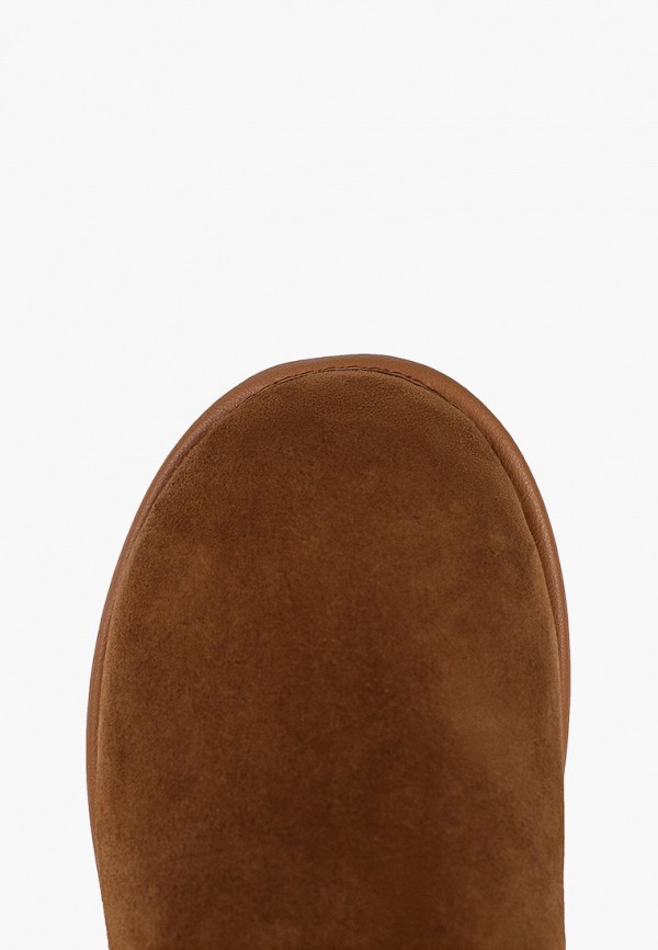 фото Полусапоги tendance