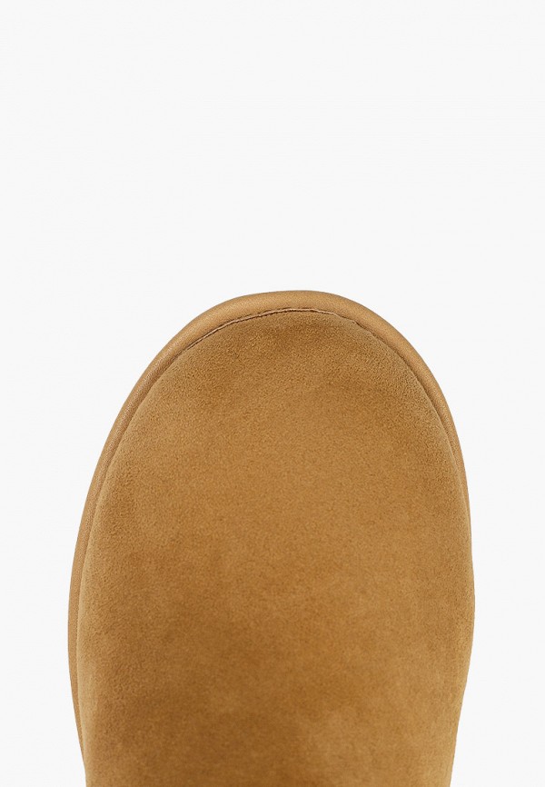 фото Полусапоги tendance