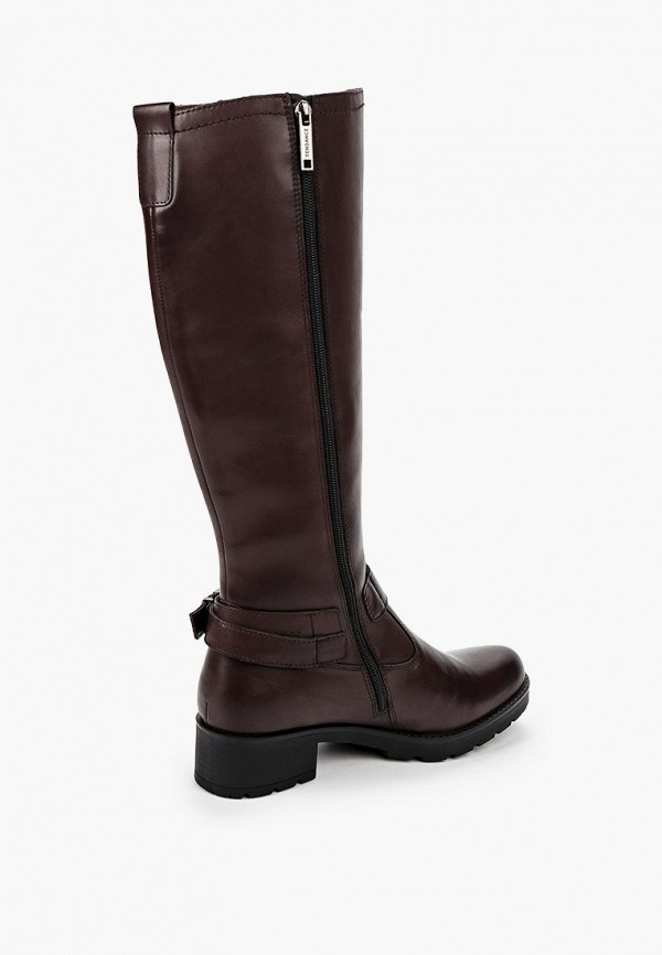 фото Сапоги tendance