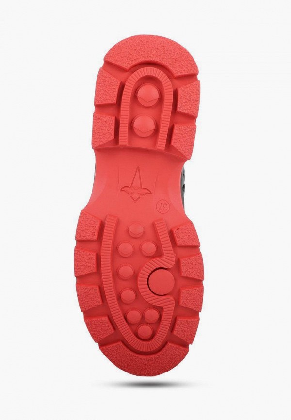 фото Ботинки t.taccardi