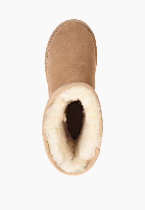 фото Полусапоги qnzy