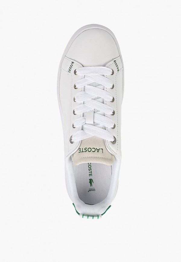 фото Кеды lacoste