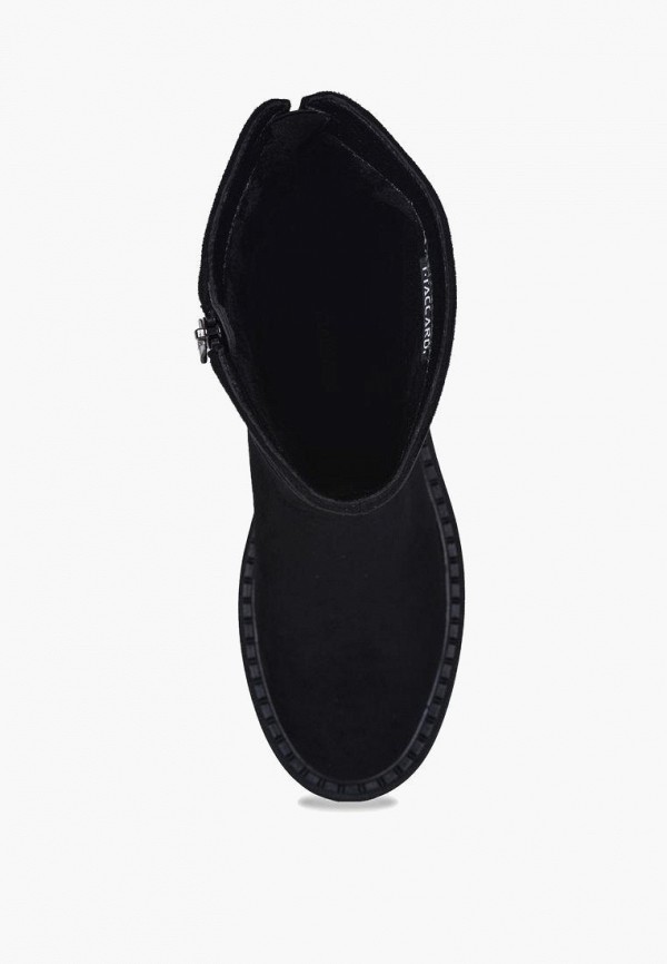 фото Полусапоги t.taccardi