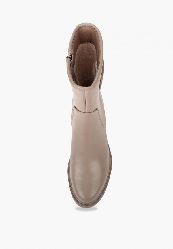 фото Полусапоги t.taccardi