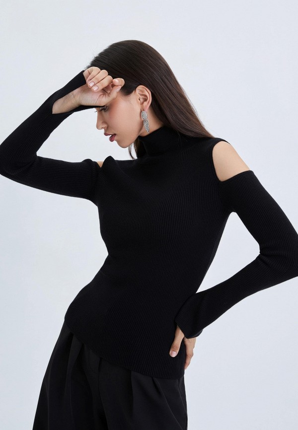 фото Водолазка zarina