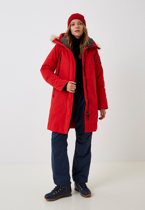 фото Парка red fox