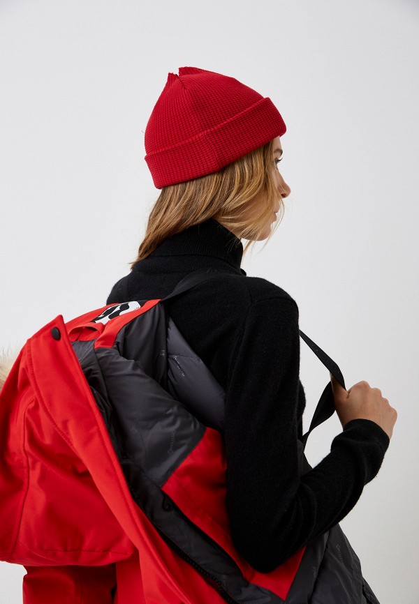 фото Парка red fox