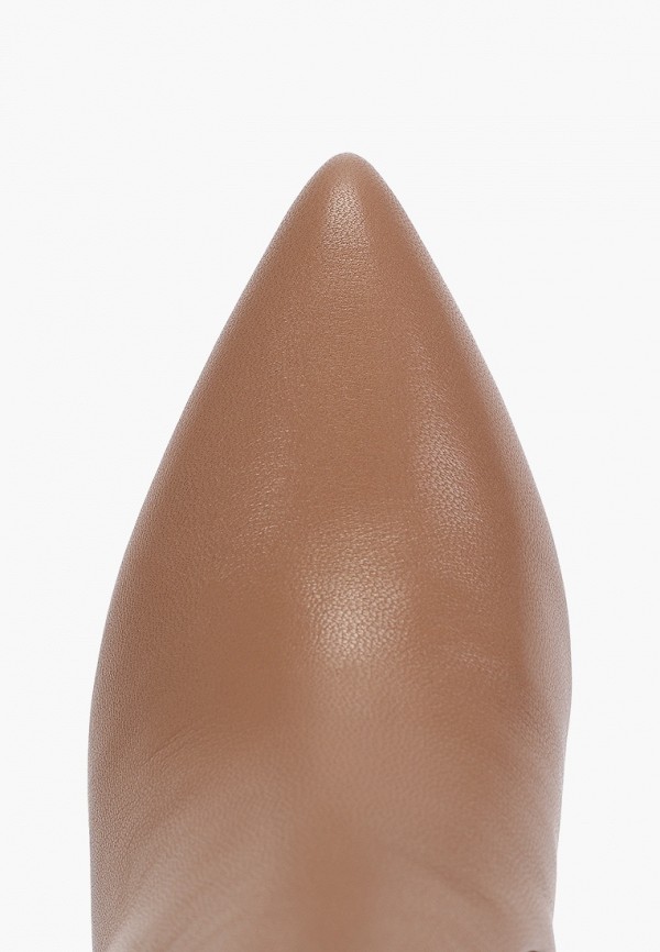 фото Сапоги vitacci