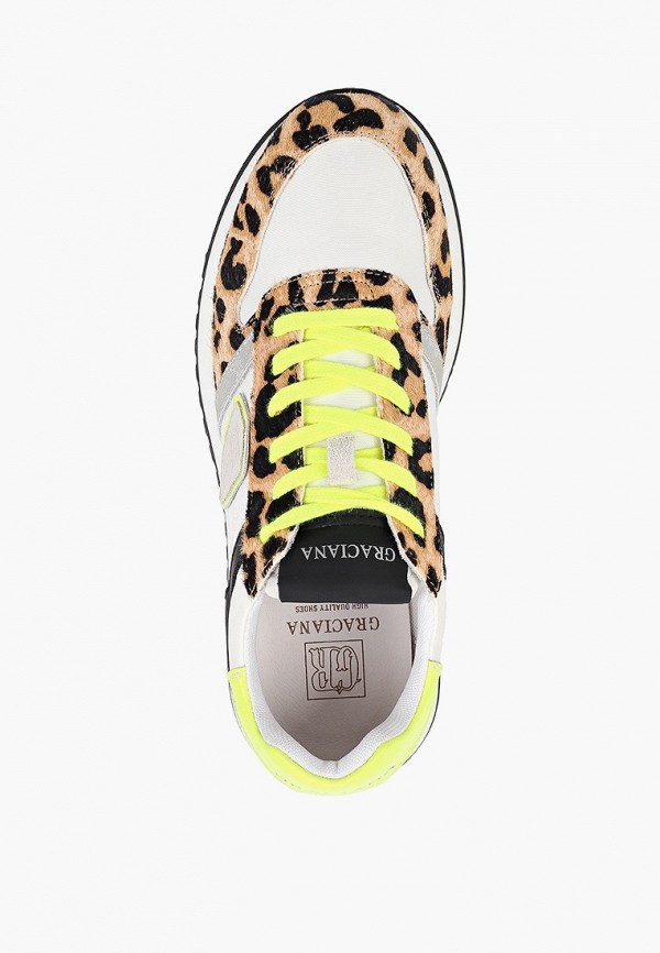 фото Кроссовки graciana