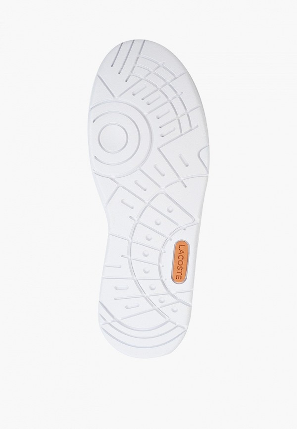 фото Кеды lacoste