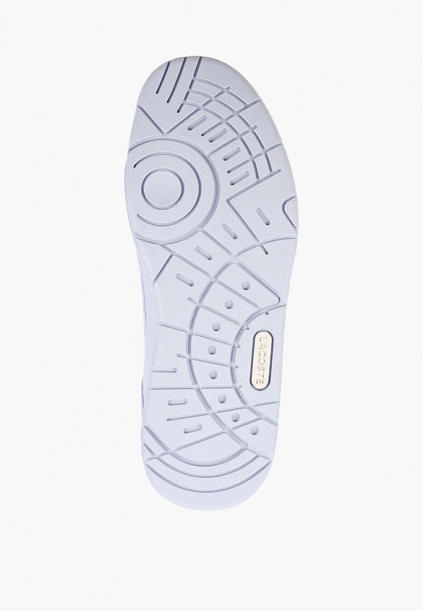 фото Кеды lacoste