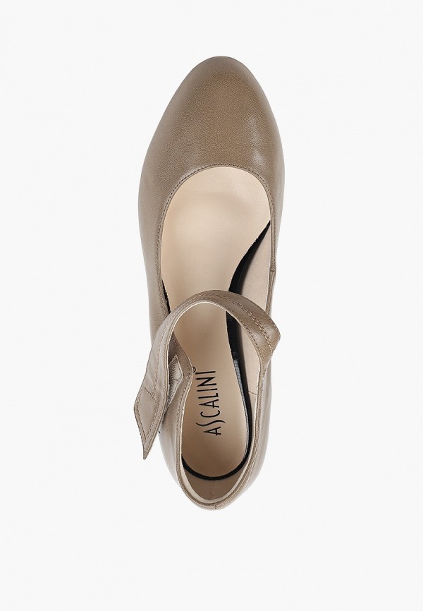 фото Туфли ascalini