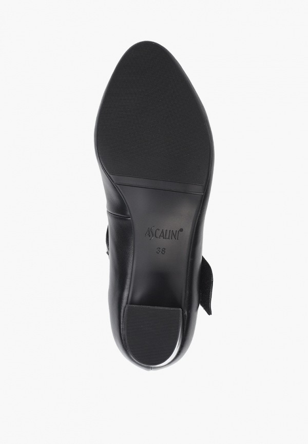 фото Туфли ascalini