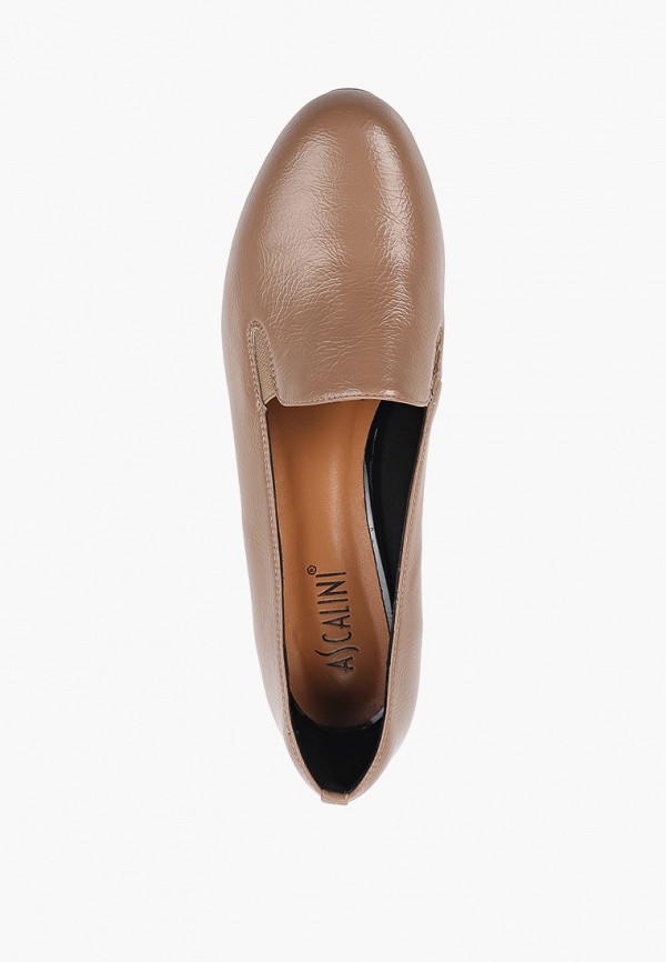 фото Туфли ascalini