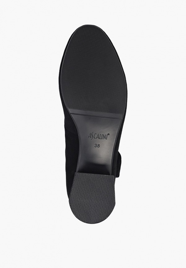 фото Туфли ascalini