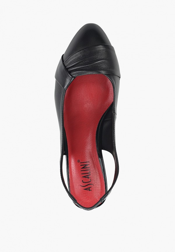 фото Туфли ascalini