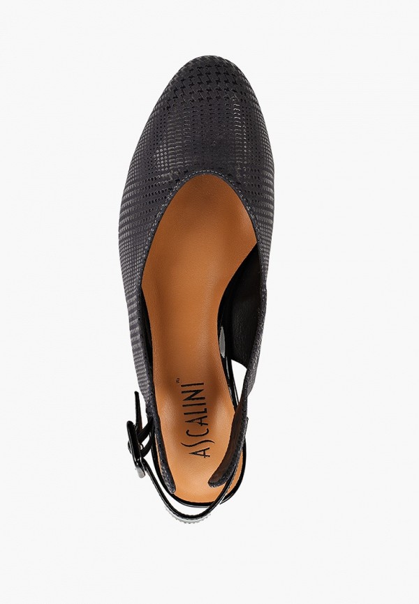 фото Туфли ascalini