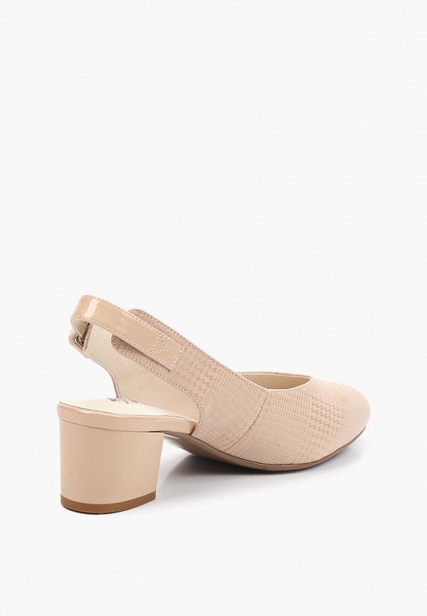 фото Туфли ascalini