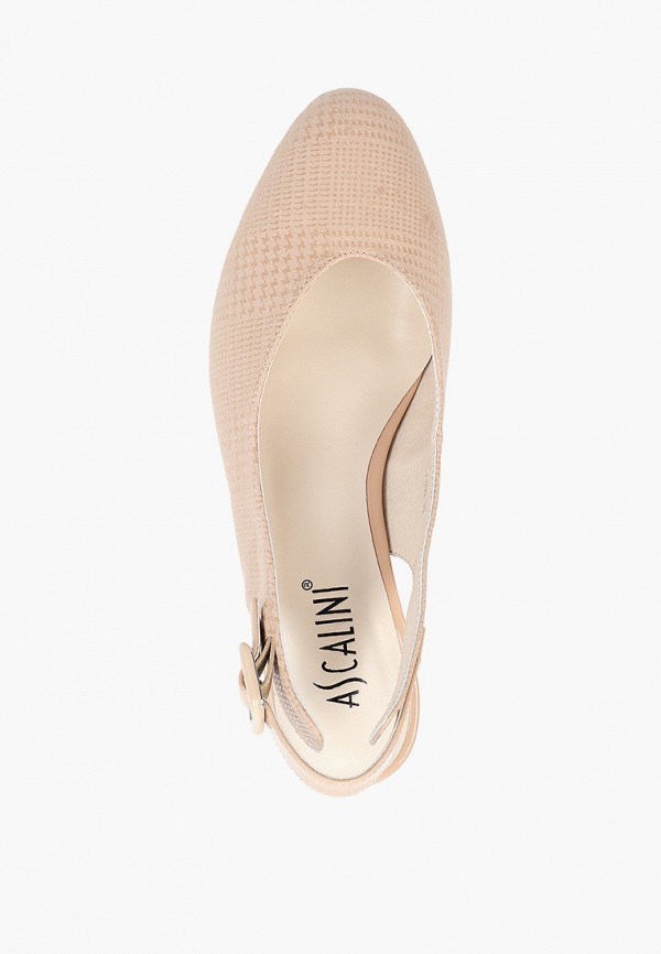 фото Туфли ascalini