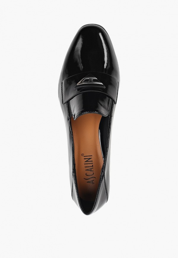 фото Туфли ascalini