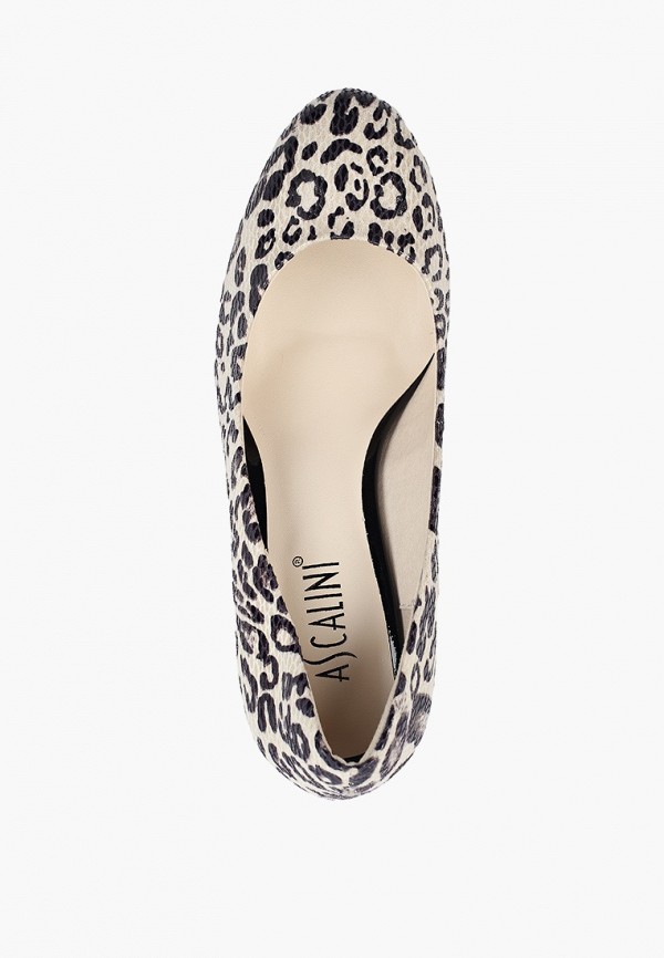 фото Туфли ascalini