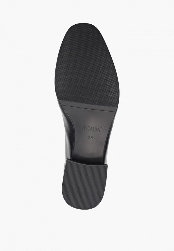 фото Туфли ascalini