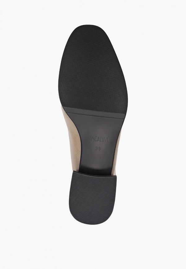 фото Туфли ascalini