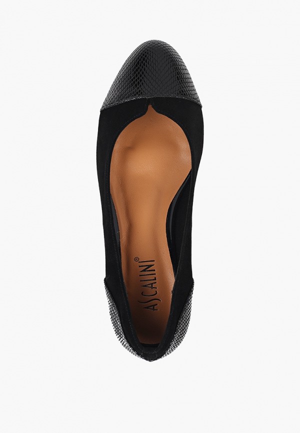 фото Туфли ascalini