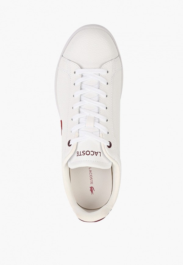 фото Кеды lacoste