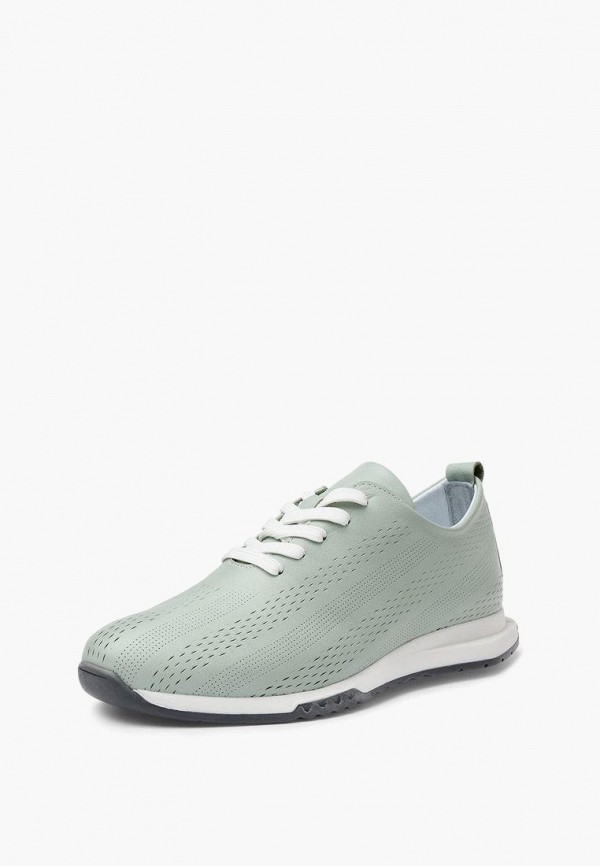 фото Кроссовки alessio nesca