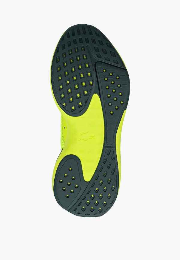 фото Кроссовки lacoste