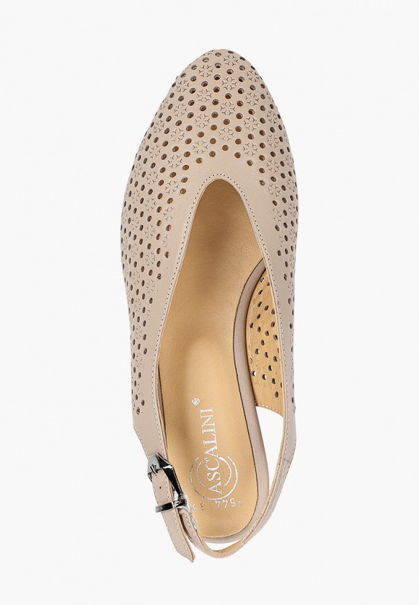 фото Туфли ascalini