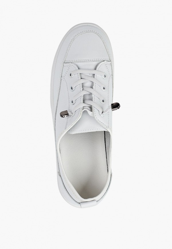 фото Кеды dino albat