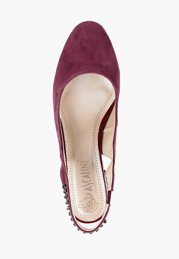 фото Туфли ascalini