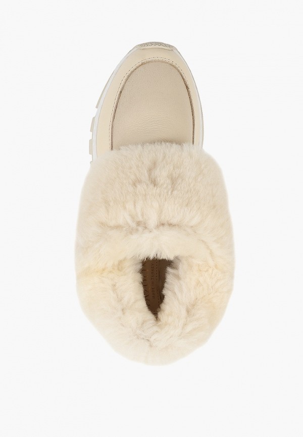 фото Ботинки pazolini