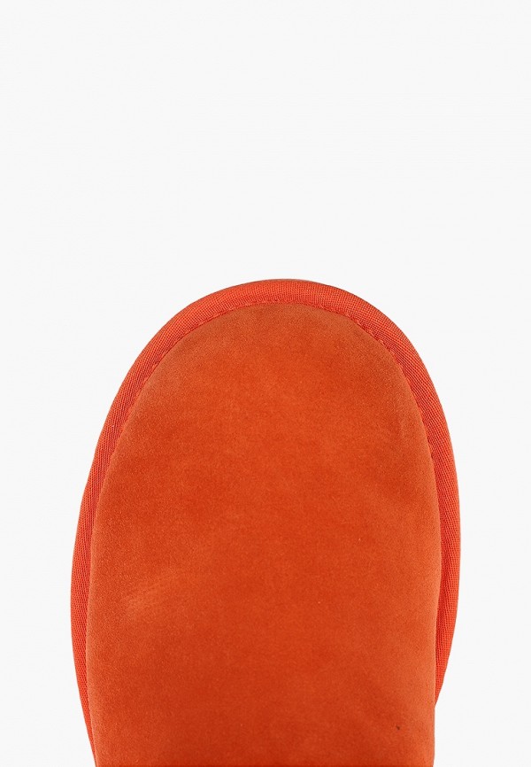 фото Полусапоги evigi