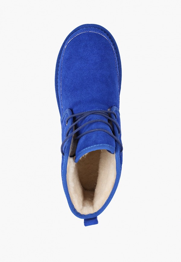 фото Ботинки ascalini