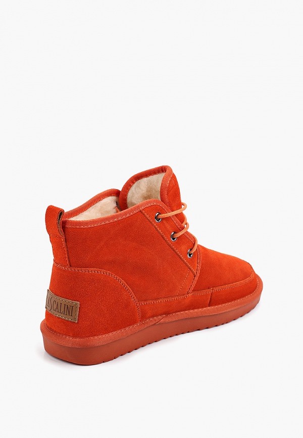 фото Ботинки ascalini