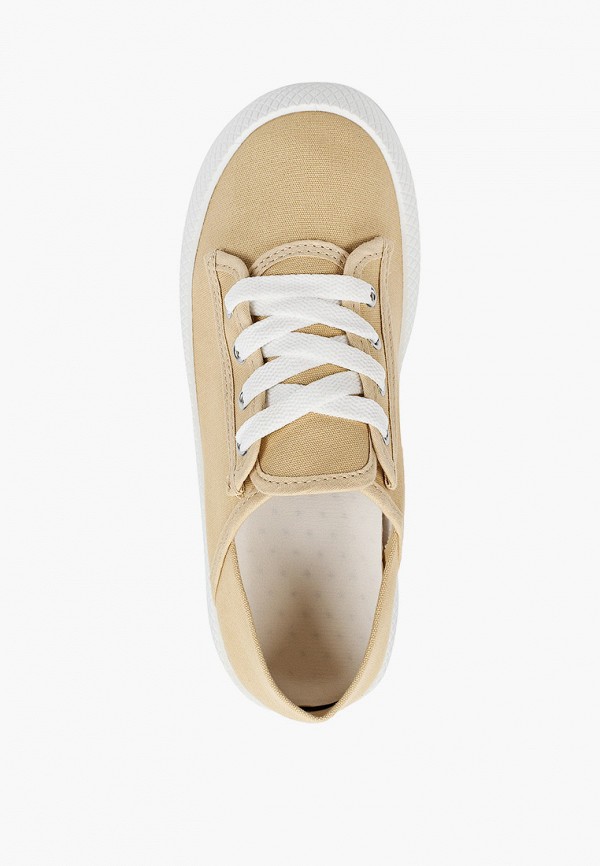 фото Кеды dino albat