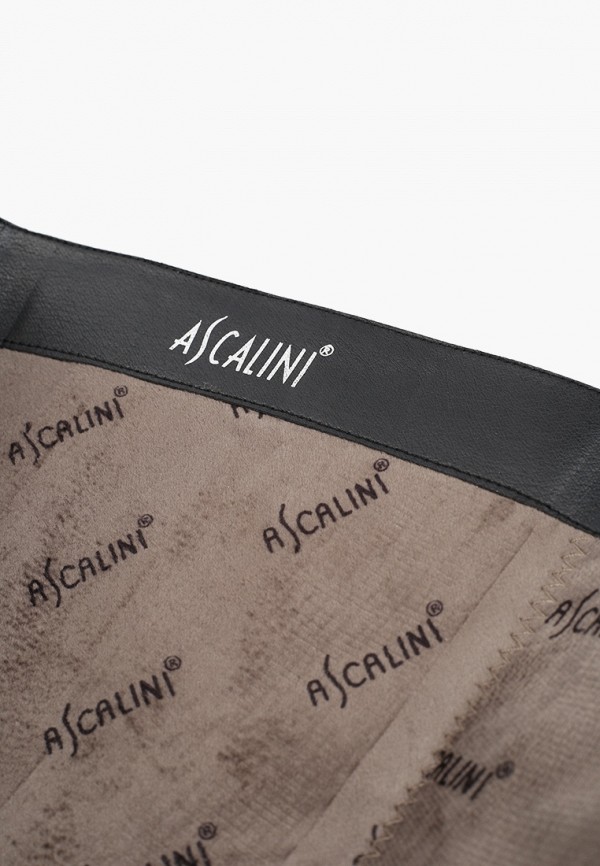 фото Сапоги ascalini