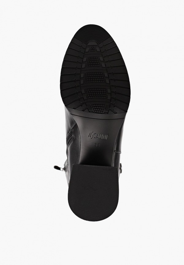 фото Сапоги ascalini