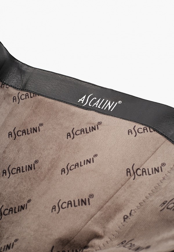 фото Сапоги ascalini