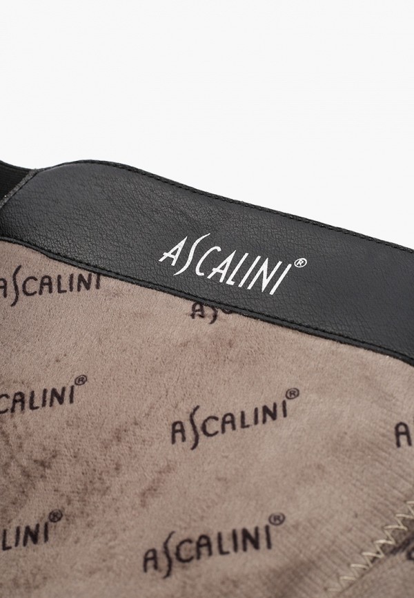 фото Сапоги ascalini