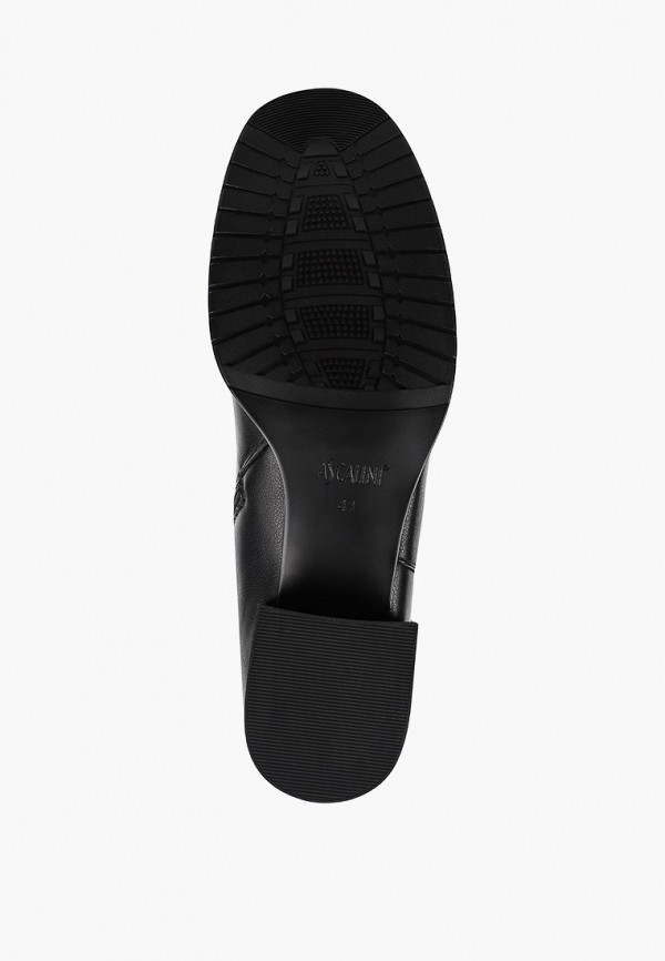 фото Сапоги ascalini