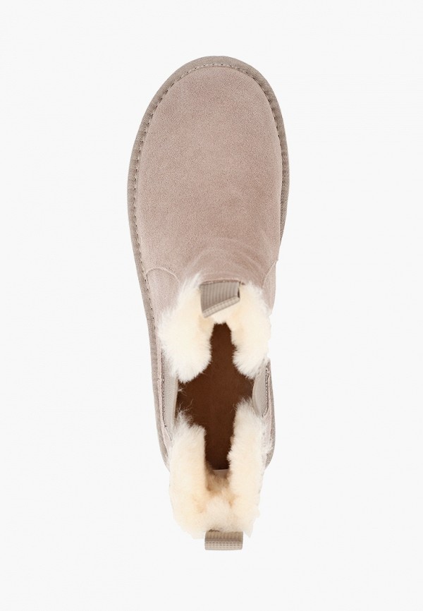 фото Ботинки ascalini