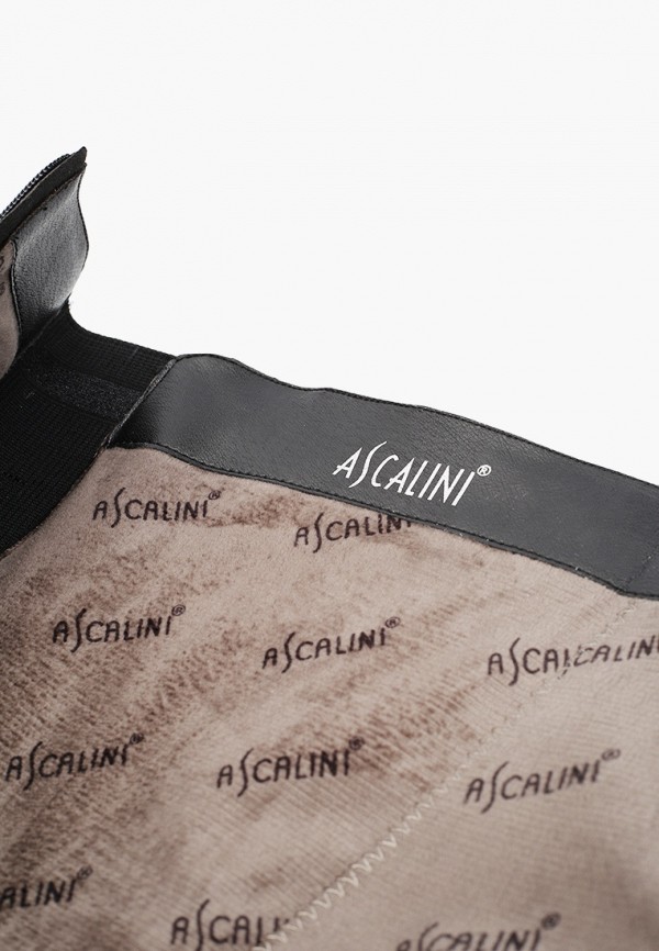 фото Сапоги ascalini